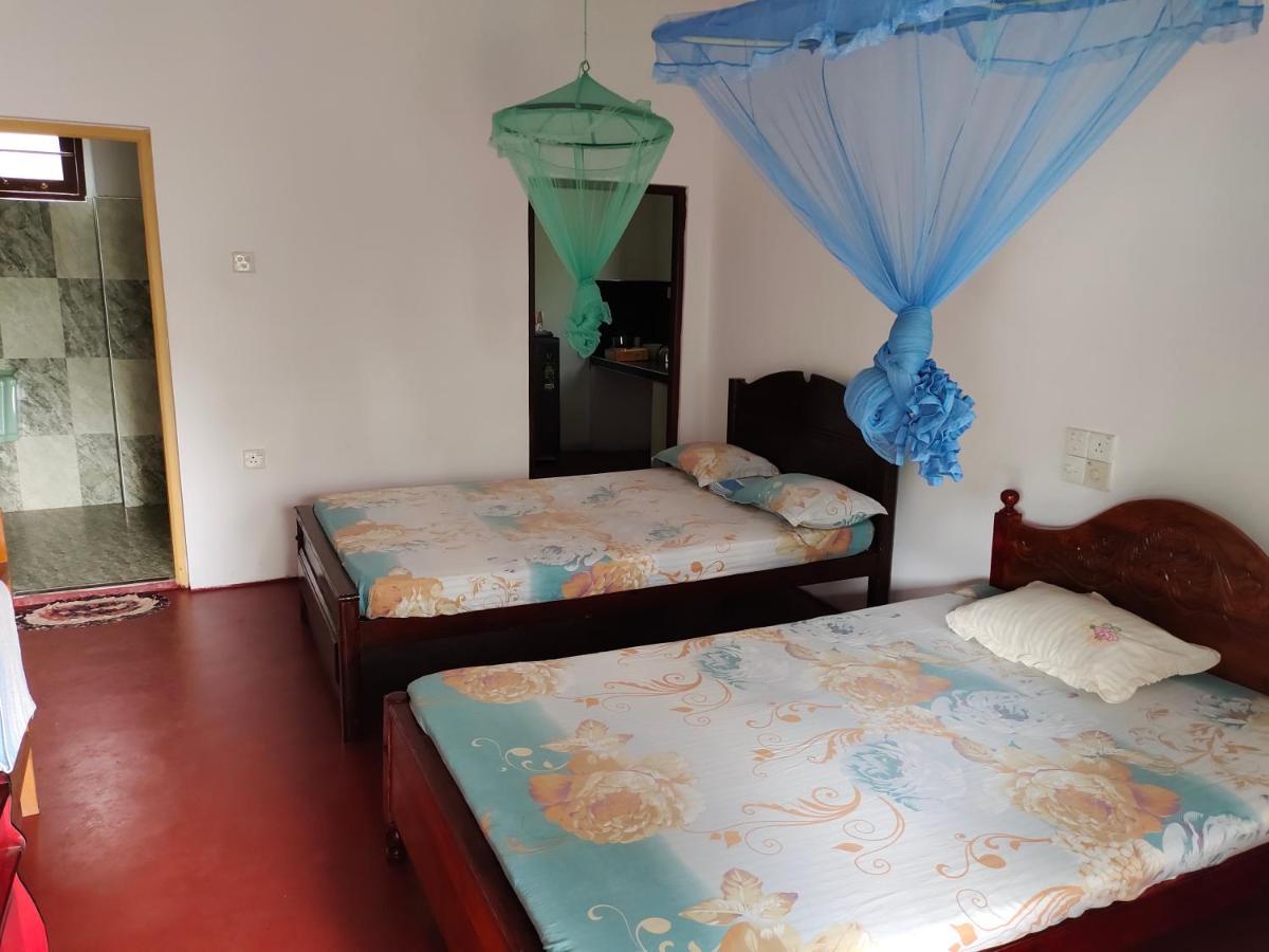Guest house Ancient Tree *