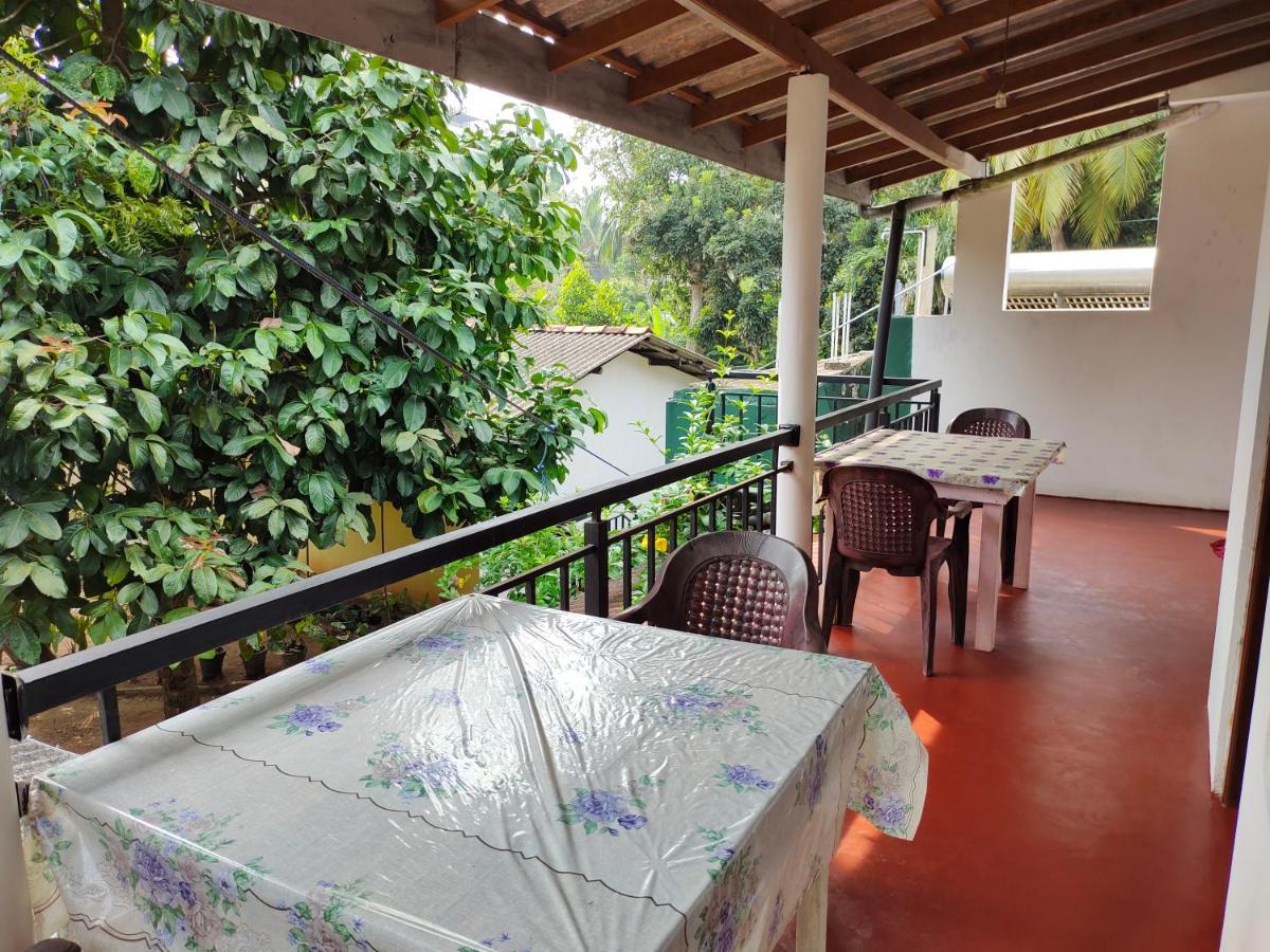 Guest house Ancient Tree *