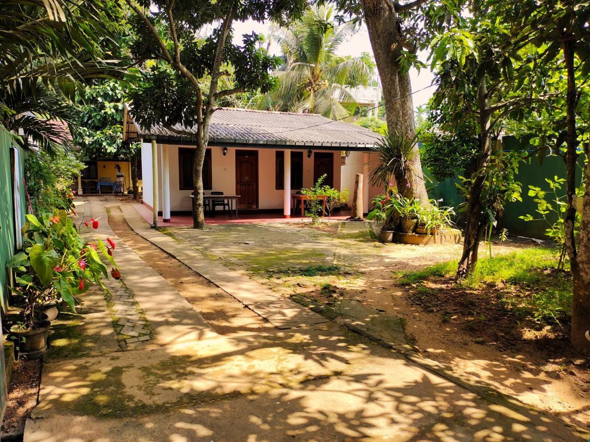 Ancient Tree Guest house Mirissa