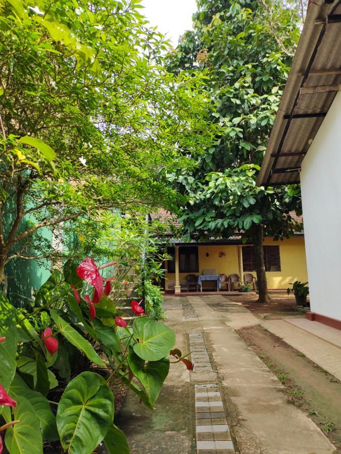 Guest house Ancient Tree *