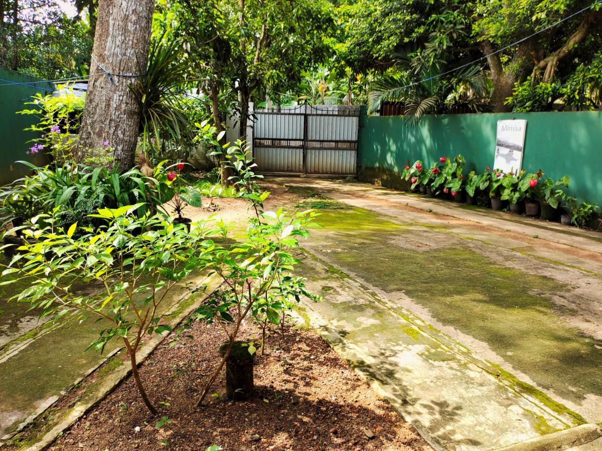 Guest house Ancient Tree Mirissa