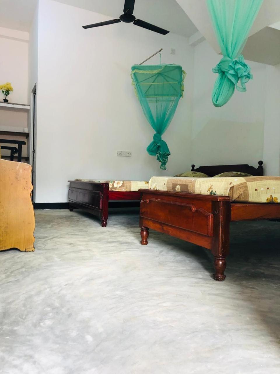 Guest house Ancient Tree