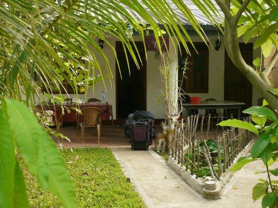 Guest house Ancient Tree