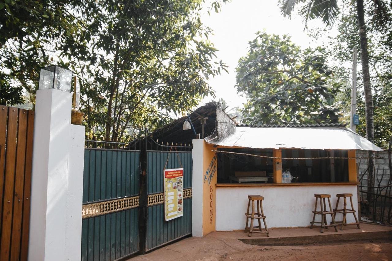 Guest house Ancient Tree *